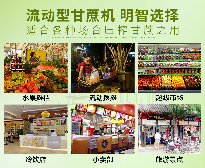 电瓶甘蔗榨汁机